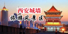 操女人的骚bb中国陕西-西安城墙旅游风景区
